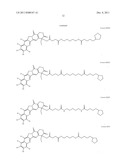 ANTIOXIDANT CAMPTOTHECIN DERIVATIVES AND ANTIOXIDANT ANTINEOPLASTIC     NANOSPHERES THEREOF diagram and image