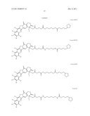 ANTIOXIDANT CAMPTOTHECIN DERIVATIVES AND ANTIOXIDANT ANTINEOPLASTIC     NANOSPHERES THEREOF diagram and image