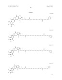 ANTIOXIDANT CAMPTOTHECIN DERIVATIVES AND ANTIOXIDANT ANTINEOPLASTIC     NANOSPHERES THEREOF diagram and image