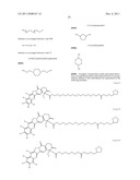 ANTIOXIDANT CAMPTOTHECIN DERIVATIVES AND ANTIOXIDANT ANTINEOPLASTIC     NANOSPHERES THEREOF diagram and image