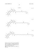 ANTIOXIDANT CAMPTOTHECIN DERIVATIVES AND ANTIOXIDANT ANTINEOPLASTIC     NANOSPHERES THEREOF diagram and image