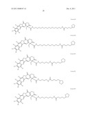 ANTIOXIDANT CAMPTOTHECIN DERIVATIVES AND ANTIOXIDANT ANTINEOPLASTIC     NANOSPHERES THEREOF diagram and image