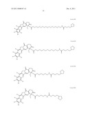 ANTIOXIDANT CAMPTOTHECIN DERIVATIVES AND ANTIOXIDANT ANTINEOPLASTIC     NANOSPHERES THEREOF diagram and image