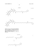 ANTIOXIDANT CAMPTOTHECIN DERIVATIVES AND ANTIOXIDANT ANTINEOPLASTIC     NANOSPHERES THEREOF diagram and image