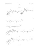 ANTIOXIDANT CAMPTOTHECIN DERIVATIVES AND ANTIOXIDANT ANTINEOPLASTIC     NANOSPHERES THEREOF diagram and image