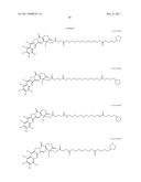 ANTIOXIDANT CAMPTOTHECIN DERIVATIVES AND ANTIOXIDANT ANTINEOPLASTIC     NANOSPHERES THEREOF diagram and image