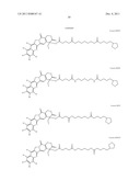 ANTIOXIDANT CAMPTOTHECIN DERIVATIVES AND ANTIOXIDANT ANTINEOPLASTIC     NANOSPHERES THEREOF diagram and image