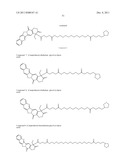 ANTIOXIDANT CAMPTOTHECIN DERIVATIVES AND ANTIOXIDANT ANTINEOPLASTIC     NANOSPHERES THEREOF diagram and image