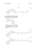 ANTIOXIDANT CAMPTOTHECIN DERIVATIVES AND ANTIOXIDANT ANTINEOPLASTIC     NANOSPHERES THEREOF diagram and image