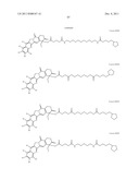 ANTIOXIDANT CAMPTOTHECIN DERIVATIVES AND ANTIOXIDANT ANTINEOPLASTIC     NANOSPHERES THEREOF diagram and image