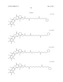 ANTIOXIDANT CAMPTOTHECIN DERIVATIVES AND ANTIOXIDANT ANTINEOPLASTIC     NANOSPHERES THEREOF diagram and image