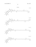 ANTIOXIDANT CAMPTOTHECIN DERIVATIVES AND ANTIOXIDANT ANTINEOPLASTIC     NANOSPHERES THEREOF diagram and image