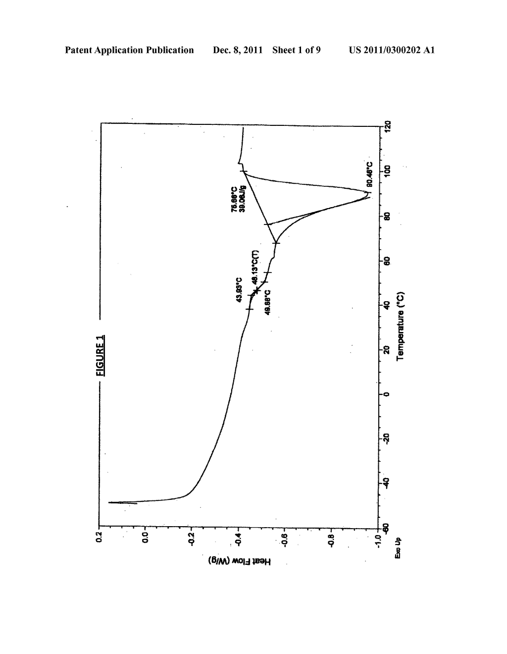 Medical item for long term durg release - diagram, schematic, and image 02