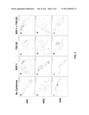 CARTILAGE REGENERATION WITHOUT CELL TRANSPLANTATION diagram and image