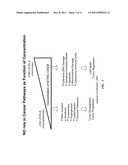 EFFECTS OF NITRIC OXIDE (NO) AND iNOS ON EXPRESSION AND SIGNAL     TRANSDUCTION IN CANCER AND ITS USE IN DRUG DISCOVERY AND CANCER THERAPY     DESIGN diagram and image