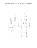 EFFECTS OF NITRIC OXIDE (NO) AND iNOS ON EXPRESSION AND SIGNAL     TRANSDUCTION IN CANCER AND ITS USE IN DRUG DISCOVERY AND CANCER THERAPY     DESIGN diagram and image