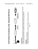 EFFECTS OF NITRIC OXIDE (NO) AND iNOS ON EXPRESSION AND SIGNAL     TRANSDUCTION IN CANCER AND ITS USE IN DRUG DISCOVERY AND CANCER THERAPY     DESIGN diagram and image