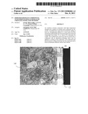 OXIDATION RESISTANT COMPONENTS WITH IMPROVED HIGH TEMPERATURE STRENGTH AND     RELATED METHODS diagram and image