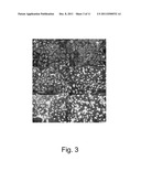 CONTROL OF THE TOXICITY OF GOLD NANOPARTICLES diagram and image