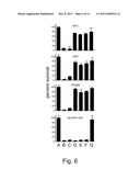 CONTROL OF THE TOXICITY OF GOLD NANOPARTICLES diagram and image