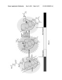 COMPOSITIONS AND METHODS FOR SEQUENCING NUCLEIC ACIDS diagram and image