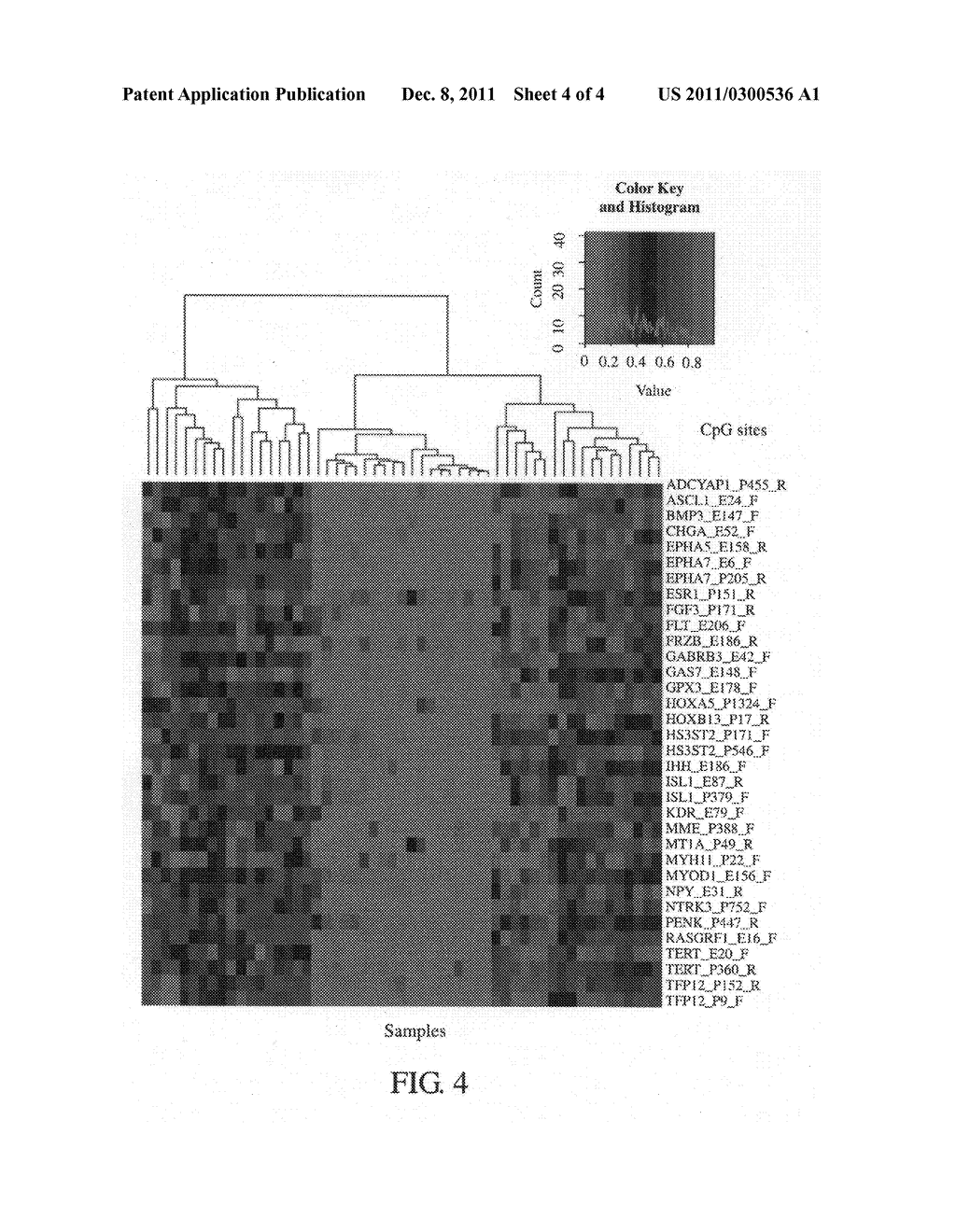 GENE MARKER AND METHOD FOR DETECTION OF ORAL CANCER - diagram, schematic, and image 05