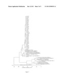 Primers for the rapid and specific detection of propane-oxidizing and     butane-oxidizing microorganisms and methods of using same diagram and image