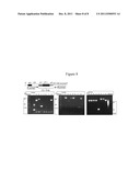 ENGINEERING COMPLEX MICROBIAL PHENOTYPES WITH SUCCESSIVE INTEGRATIONS OF     EXOGENOUS DNA (SIEDNA) diagram and image