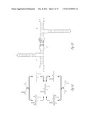 EXPONENTIAL ISOTHERMAL SELF-SUSTAINED REPLICATION OF AN RNA ENZYME diagram and image