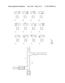 EXPONENTIAL ISOTHERMAL SELF-SUSTAINED REPLICATION OF AN RNA ENZYME diagram and image