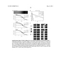 METHOD AND SYSTEM FOR GENERATING SPATIALLY AND TEMPORALLY CONTROLLABLE     CONCENTRATION GRADIENTS diagram and image