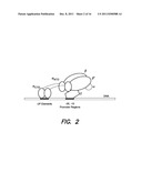 MUTATIONS AND GENETIC TARGETS FOR ENHANCED L-TYROSINE PRODUCTION diagram and image