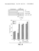 MUTATIONS AND GENETIC TARGETS FOR ENHANCED L-TYROSINE PRODUCTION diagram and image