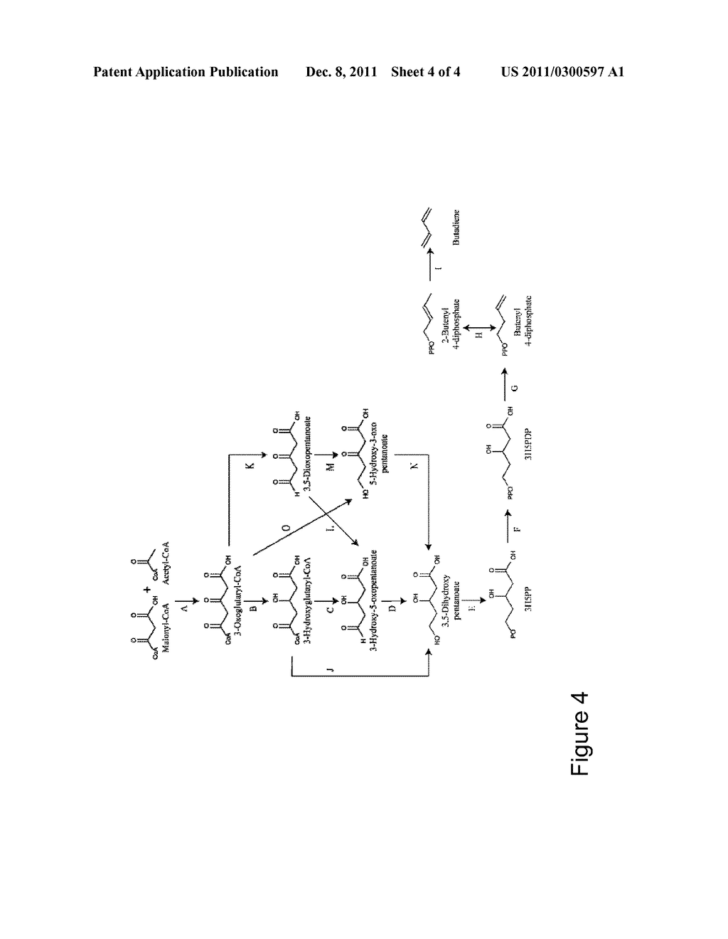 MICROORGANISMS AND METHODS FOR THE BIOSYNTHESIS OF BUTADIENE - diagram, schematic, and image 05