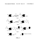 CONJUGATE PREPARATION METHODS AND RELATED KIT diagram and image