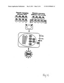 RECOMBINANT INFLUENZA VECTORS WITH TANDEM TRANSCRIPTION UNITS diagram and image