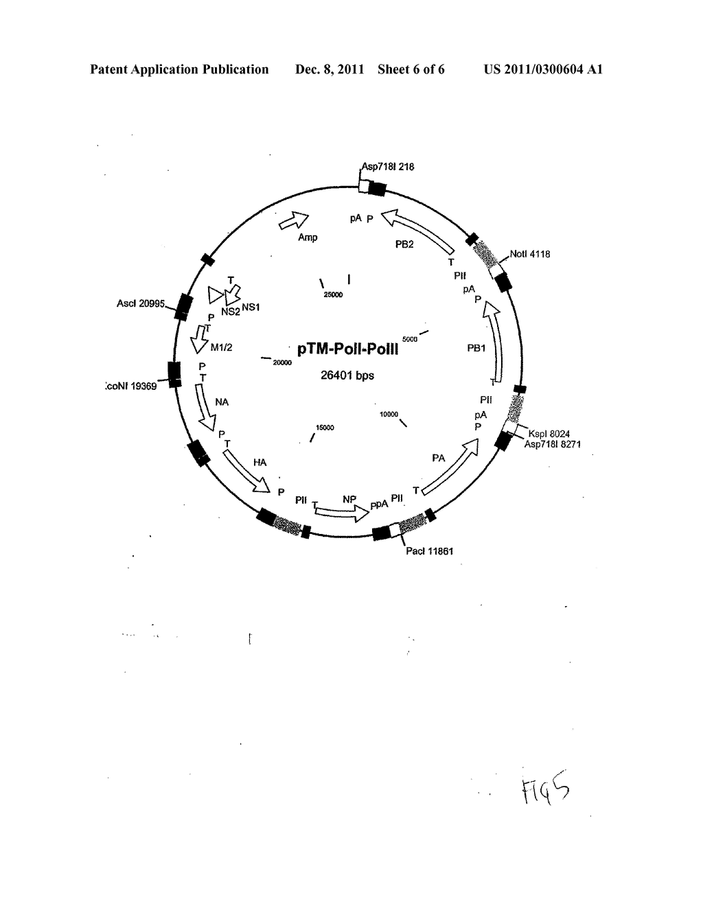 RECOMBINANT INFLUENZA VECTORS WITH TANDEM TRANSCRIPTION UNITS - diagram, schematic, and image 07