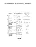 Apparatus and method for maintaining and/or restoring viability of organs diagram and image