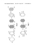 Apparatus and method for maintaining and/or restoring viability of organs diagram and image