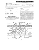 METHOD FOR CREATING PERFUSABLE MICROVESSEL SYSTEMS diagram and image