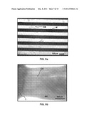 METHOD FOR CREATING PERFUSABLE MICROVESSEL SYSTEMS diagram and image