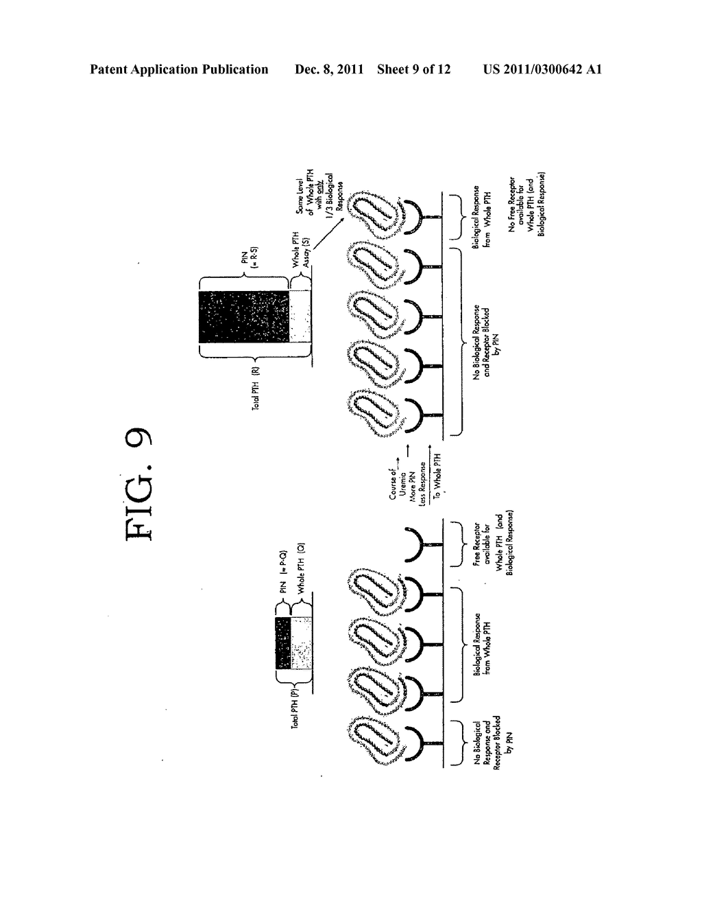 METHODS FOR DIFFERENTIATING AND MONITORING PARATHYROID AND BONE STATUS     RELATED DISEASES - diagram, schematic, and image 10