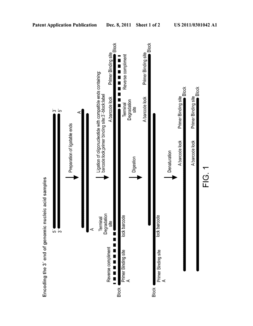 METHODS OF SAMPLE ENCODING FOR MULTIPLEX ANALYSIS OF SAMPLES BY SINGLE     MOLECULE SEQUENCING - diagram, schematic, and image 02