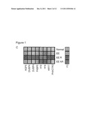 Methods of Determining Efficacy of Glucocorticoid Treatment of     Eosinophilic Esophagitis diagram and image