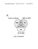 Biomarkers For Human Papilloma Virus-Associated Cancers diagram and image