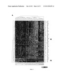 Biomarkers For Human Papilloma Virus-Associated Cancers diagram and image