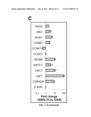 Biomarkers For Human Papilloma Virus-Associated Cancers diagram and image