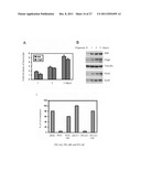 METHODS AND COMPOSITIONS FOR ASSESSING AND TREATING METASTASIS, METASTATIC     CANCER, AND POTENTIAL FOR METASTASIS diagram and image