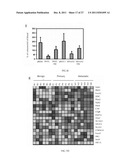 METHODS AND COMPOSITIONS FOR ASSESSING AND TREATING METASTASIS, METASTATIC     CANCER, AND POTENTIAL FOR METASTASIS diagram and image