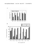 METHODS AND COMPOSITIONS FOR ASSESSING AND TREATING METASTASIS, METASTATIC     CANCER, AND POTENTIAL FOR METASTASIS diagram and image